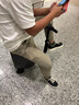 全新智能电动行李箱骑行拉杆旅行登机箱机箱大容量智能代步密码箱 黑色豪华版(可登机）二块电池 实拍图