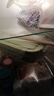 欣美雅（xinmeiya）可微波炉加热玻璃饭盒上班带饭专用保鲜碗保温便当盒学生餐盒 【抹茶绿】无隔 1060ml +餐具 实拍图