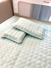 一默乳胶凉席床单床笠凉席夏季2025家用可折叠机洗冰砖空调凉席冰丝席 【薄荷绿】丨锦纶面料丨凉感更高 三件套丨 200cm*180cm 丨床笠款 实拍图