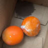 江西赣南早脐橙整箱当季新鲜早橙子榨汁水果礼盒皮薄多汁节日团购 【尝鲜】净重2.7斤装单个120g+ 实拍图