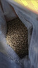 添赐力奶糕猫粮幼猫12月龄乳铁蛋白奶糕猫咪牛初乳免疫粮1LB(454g) 实拍图