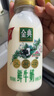 伊利金典鲜牛奶 全脂分享装巴氏杀菌 低温牛奶 235ml*4 实拍图