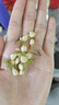半山农 茉莉花50g 茉莉花茶花草茶 横县三伏晴天茉莉花苞花蕾养生茶 实拍图