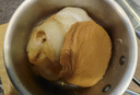 安滋初【鱼翅礼盒 次日达】金钩翅黄焖浓汤红烧即食鱼翅家宴高端私房菜 红烧翅248g*买10送10发20份 晒单实拍图