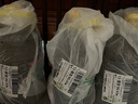 鲁花 食用油 香飘万家系列 低芥酸浓香菜籽油 3.09L 实拍图
