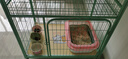 喵先生猫笼 别墅猫笼子超大号带厕所一体宠物猫窝家用猫屋猫舍猫咪笼子 80*55*136cm升级无托盘带猫砂垫 实拍图