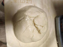 长帝（changdi）【国家补贴】厨师机和面机家用全自动和面揉面一体机压面机打蛋器多功能电动料理机发酵企鹅顶顶 实拍图