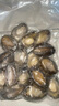 江船长 冷冻无壳鲍鱼肉净重400g(40-50粒）火锅烧烤食材 活鲍加工  实拍图