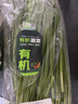 【有机】韭菜250g 实拍图