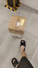 MLILY眯狸记忆棉床垫学生床垫宿舍上下铺床褥榻榻米乐梦80*200*5cm 实拍图