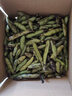乔诚云南新鲜生大绿心带壳蚕豆米嫩胡豆罗汉豆角大青豆荚时令蔬菜现摘 5斤 实拍图
