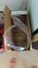 湾琴河干粿条 手工河粉2000g 米粉炒米粉炒河粉干米粉河粉潮汕风味粿条 实拍图