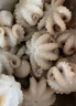 美加佳大号三去小章鱼净重800g 去脏去牙八爪鱼 国产海鲜 海鲜水产 实拍图