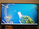 泰坦军团 27英寸 4K超清144Hz双模288Hz IPS屏 HDR400硬件低蓝光 10Bit 旋转升降 电竞显示器 P2711V 实拍图
