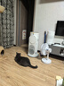 霍尼韦尔（Honeywell）【papi酱同款】宠物猫用空气净化器吸猫毛除甲醛过敏源杀菌消毒霍哈宝H-Cat Hub家电国家补贴 实拍图