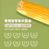 麦秀年早安大苞米东北黄糯玉米2.4斤（200g*6）软糯香甜真空家庭装早餐 实拍图
