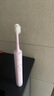 力博得（Lebooo）电动牙刷 软毛护龈 长续航120天 电动牙刷情侣款 送男友/送女友生日礼物 悦心2024款 4刷头 浅紫 实拍图