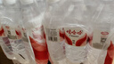 娃哈哈 纯净水596ml*12瓶 塑膜装 瓶装水饮用水 实拍图