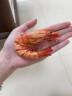 果勋即食虾干超大号九节虾干 净重250g 低温烘烤海产干货休闲零食虾仁 实拍图