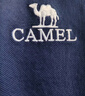 骆驼（CAMEL）丝光珠地棉POLO衫男士透气刺绣翻领商务休闲短袖春夏季M14BA5E114 实拍图