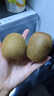 佳沛（zespri）绿奇异果 优选大果12粒单果约113-135g  水果礼盒 猕猴桃 实拍图