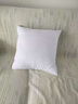 骆易家（Lorica）抱枕芯内胆沙发靠枕五星级酒店抱枕枕芯靠垫芯方形枕芯靠背枕芯子 【买一送一】高弹羽丝绒-白色 45cm*45cm 含枕芯 (适合40*40枕套) 实拍图