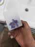 力士（LUX）香皂沐浴洗澡洗脸洁面皂持续久留香肥皂批发幽莲魅肤男女士家庭装 【山茶花香】盈润+幽莲共五块装 实拍图