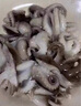 美加佳大号三去小章鱼净重800g 去脏去牙八爪鱼 国产海鲜 海鲜水产 实拍图