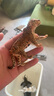 思乐（Schleich S）仿真动物模型 老虎狮子狼豹白虎猞猁男女孩儿童玩具生日礼物3+ 美洲虎14769 实拍图