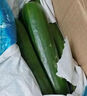 京喜加新鲜无刺水果小黄瓜小青瓜脆甜荷兰脆嫩生吃黄瓜蔬菜 水果黄瓜 1斤 实拍图