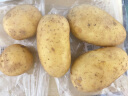 新土豆约500g 实拍图