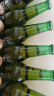 喜力经典500ml*12瓶整箱装 喜力啤酒Heineken 实拍图