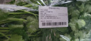 带根香菜100g 实拍图