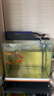 森森（SUNSUN） 鱼缸过滤棉加厚生化棉水族箱过滤器白棉过滤材料 3米长*12cm宽*2cm厚 实拍图