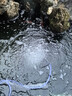HAILI氧气泵 鱼池增氧泵 户外大功率家用大气量鱼缸增氧机打氧机 ACO-9720 20W 套餐 实拍图