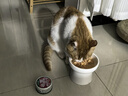 网易严选猫湿粮宠物零食浓汤大口肉罐头 鸡肉+三文鱼85g*6罐 实拍图