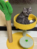 喵仙儿猫爬架一体猫窝多层跳台剑麻猫抓柱猫抓板小型不掉屑仙人掌猫玩具 实拍图