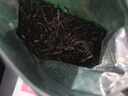 福东顺 茶叶 普洱茶生普云南老班章古树普洱茶大叶种散装500g 实拍图
