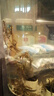 宠街坊鱼缸一体缸造景生态小鱼缸桌面水族箱金鱼斗鱼PET透明鱼缸送礼 实拍图