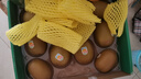 佳沛（zespri）新西兰  阳光金奇异果10粒礼盒巨大果单果约144-175g 水果 猕猴桃 实拍图