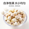 方家铺子中华老字号 莲子400g 湘潭磨皮白莲子去芯 百合桂圆银耳羹食材 实拍图