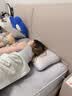 海尔康养磁疗护颈枕记忆棉枕头慢回弹太空枕成人深睡助眠透气颈椎趴睡枕头 【海尔品牌】磁疗枕头A类单只 实拍图