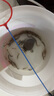 泥鳅苗新鲜幼苗小泥鳅本地活体圆鳅苗活筏钓体放生养殖苗 2-3cm  50条+5路损限一件无赠品 实拍图