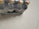 亚洲（ASIA）沙示汽水 碳酸饮料 300ml*24 整箱 实拍图