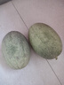 京鲜生 哈密瓜/西州蜜 2粒装 净重5-7斤 单果2.5斤起 生鲜水果礼盒 实拍图