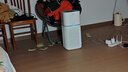 美的（Midea）母婴专用空气净化器 99.9%除菌率 净离子除菌消毒 除甲醛过敏原花粉除烟味除异味 家用室内净化机 【母婴专用】客厅推荐 实拍图