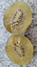 佳沛（zespri）新西兰  阳光金奇异果25-27粒原箱特大果单果约122-146g  猕猴桃 实拍图