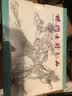 连创 杨门女将征西 连环画小人书 50开平装 全9册 刘管斌 李明 等绘 四川美术出版社 实拍图