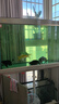 森森（SUNSUN）鱼缸水族箱客厅免换水风水家用金鱼缸 1米长 34.6cm宽 时尚底滤(黑白灰可选) 实拍图