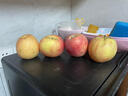 京鲜生【预售】塞外红 阿克苏苹果礼盒 净重10斤 果径85mm以上 新鲜水果 实拍图